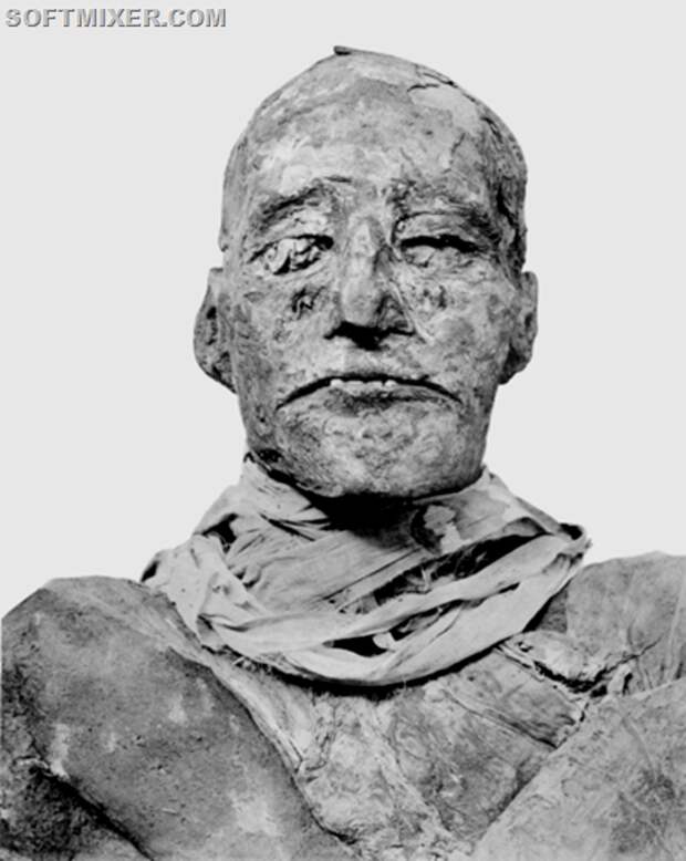 480px-Ramses_III_mummy_head