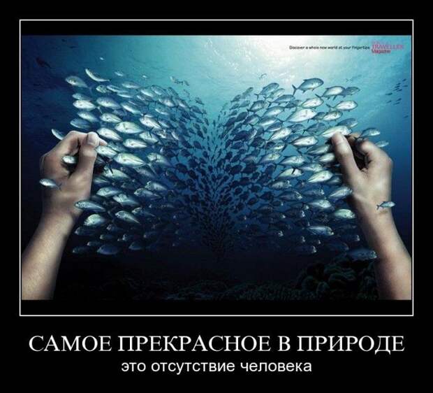 Демотиваторы (133 картинки)