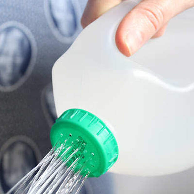 z-milk-jug-can-watering