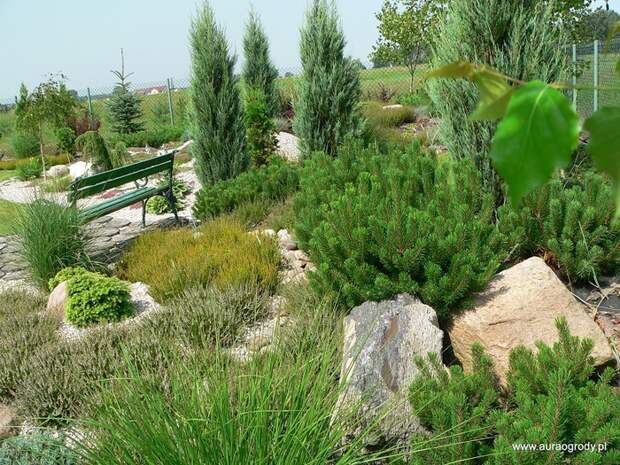 P1200331 (700x525, 237Kb)