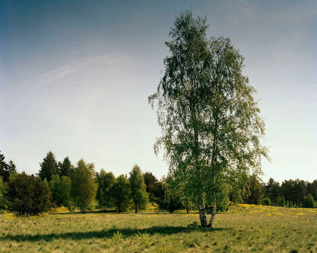 Фотопроект 