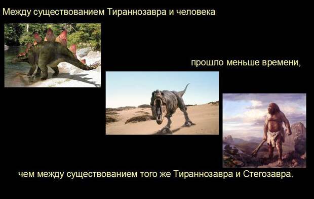 Мир удивителен, господа! Мир удивителен, господа! интересное, мир, невероятное
