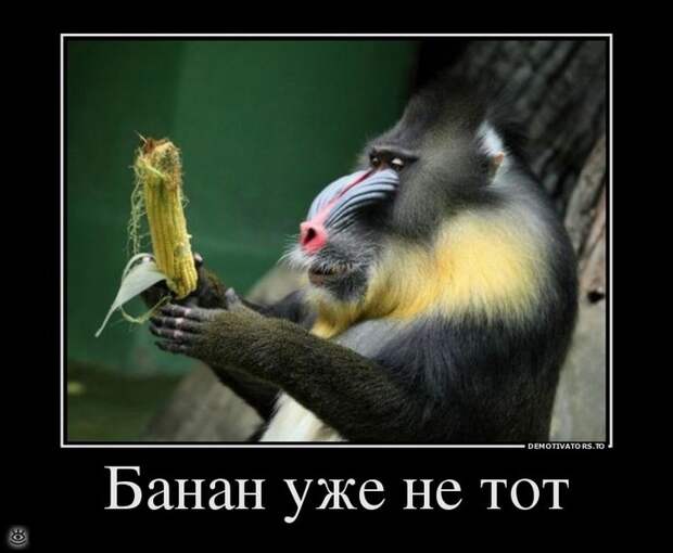Непреклонные демотиваторы 15