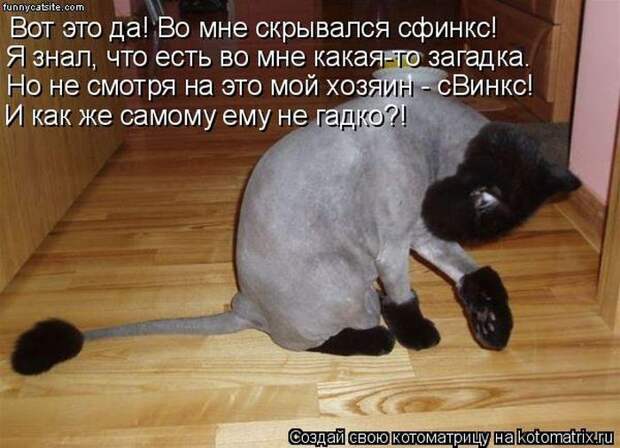 Мысли вслух :)