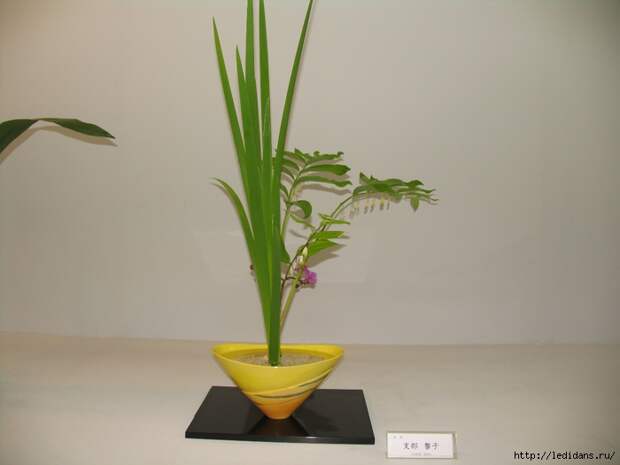 039 (700x525, 196Kb)