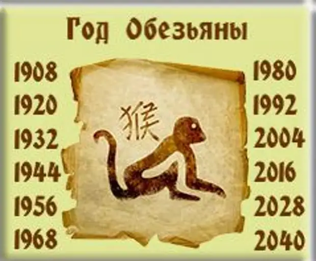 2004 какая обезьяна