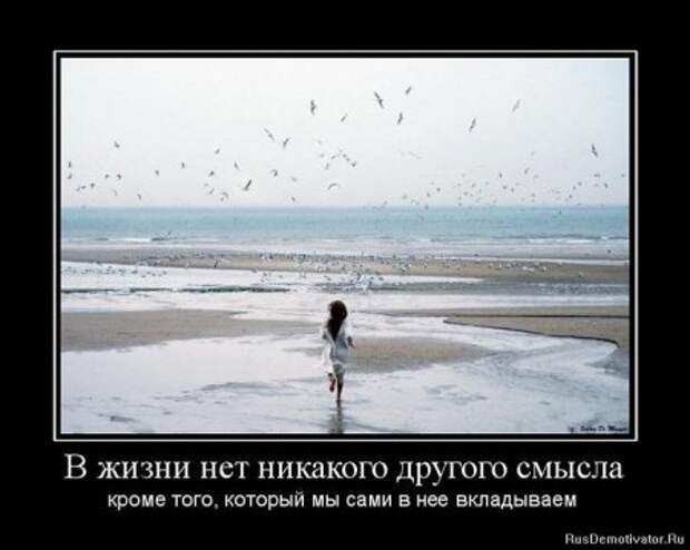 Демотиваторы со смыслом картинки.