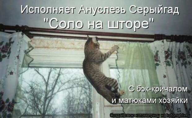 Котоматрицы (картинки с надписями)