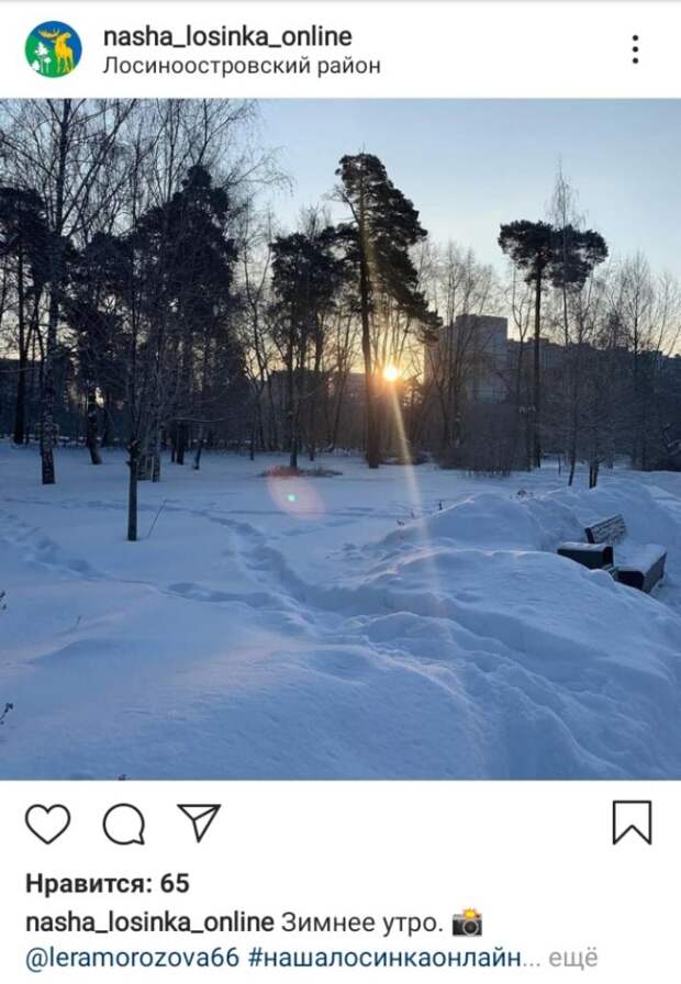 Фото: скриншот из Instagram @nasha_losinka_online