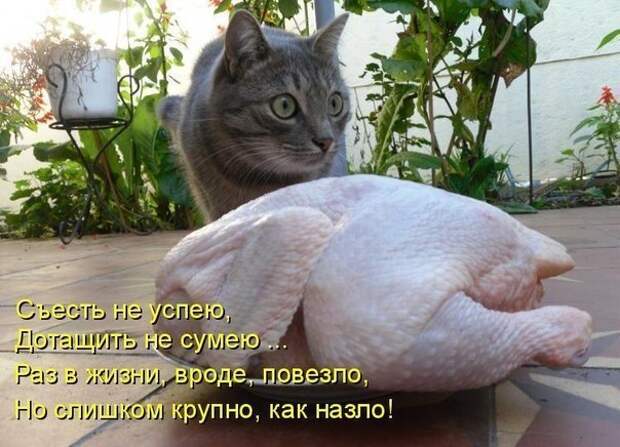Всяко - разно 21 ))) Всяко - разно 21 )))
