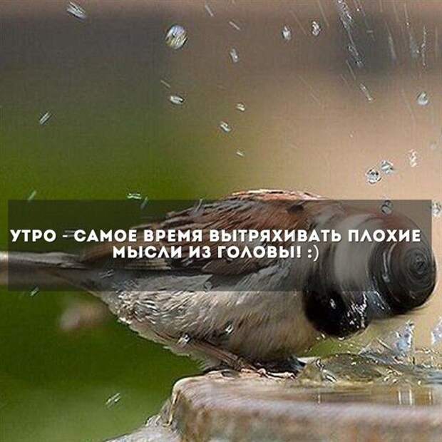 Прикольные картинки (93 фото) Прикольные картинки (93 фото)