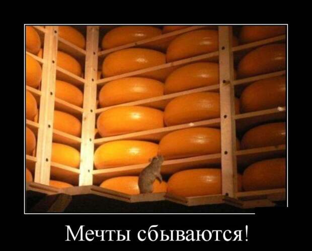 Демотиваторы бревно, демотиваторы, юмор