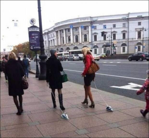 Прикольные картинки дня (33 шт)