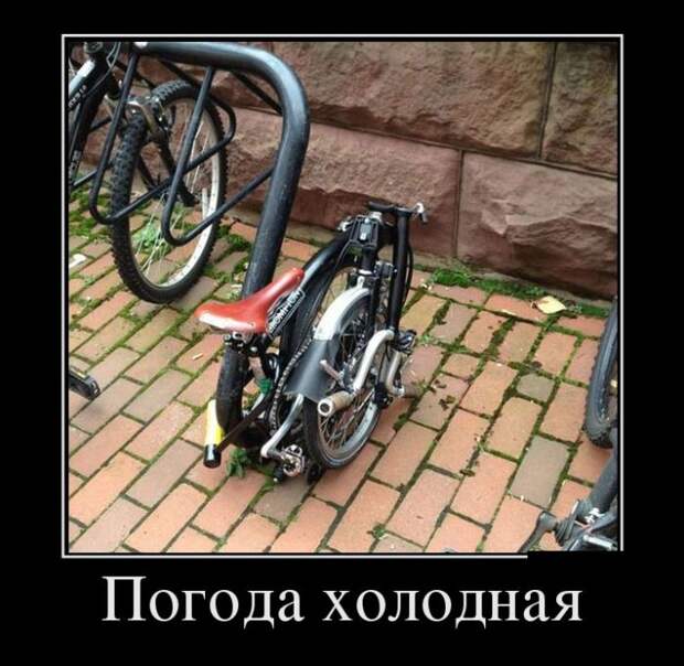 Демотиваторы (30 фото)
