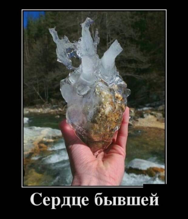 Прикольные картинки и фото дня (43 шт)