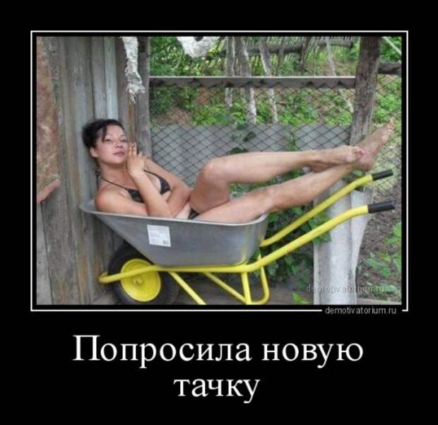 Демотиваторы-приколы (12 шт)