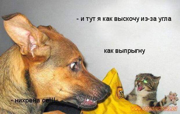 Зверье мое......