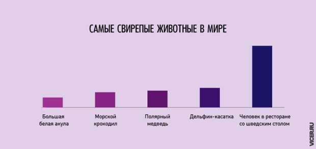 Правдивые инфографиков о нашей жизни