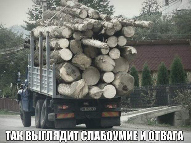 Слабоумие и отвага. Полный писец