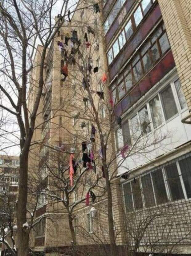 Прикольные картинки прикол, юмор