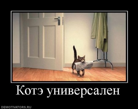 Прикольные демотиваторы, картинки и ржачные подписи.