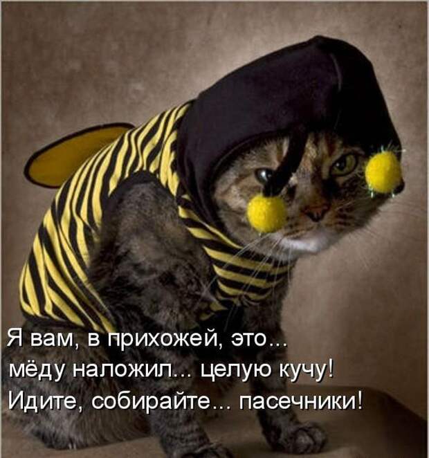 животные