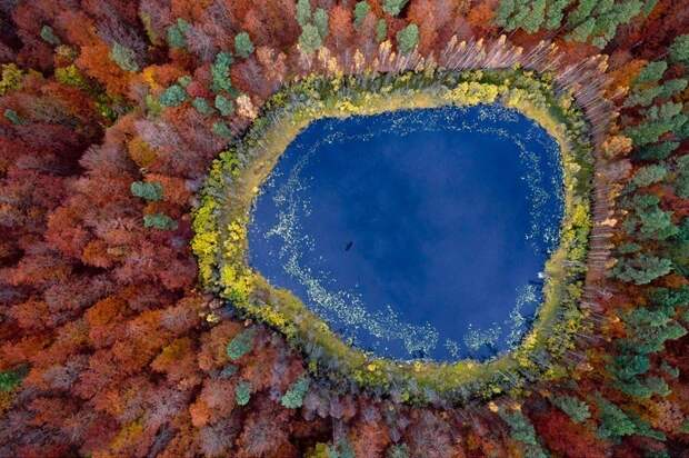 Красочные фотографии о том, насколько волшебна осень в Польше