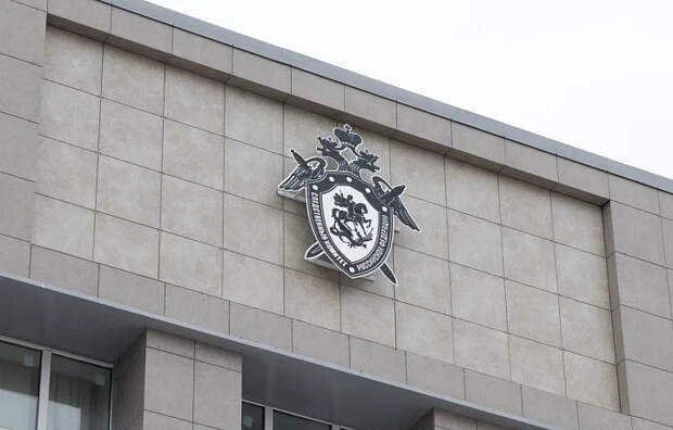 Бастрыкин взял под контроль дело о пропавшем подростке из Донского