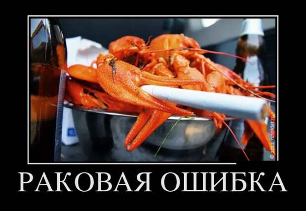 Демотиваторы  демотиваторы, прикол, смех, юмор