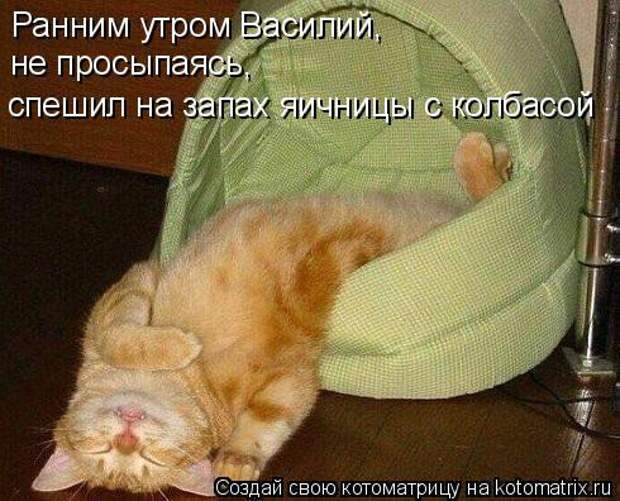 Спать охота, а тут еще прикол, работа, сон, юмор
