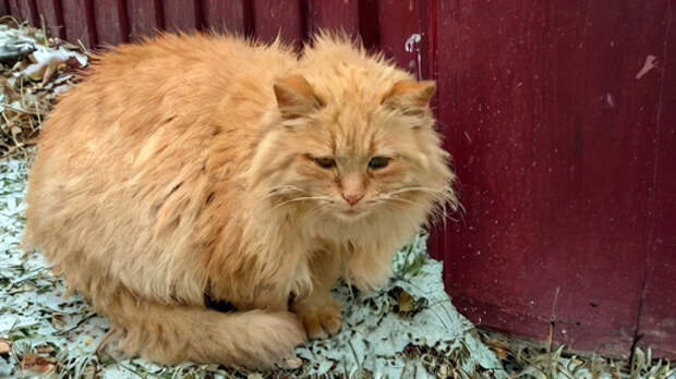 Подарок на 8 марта