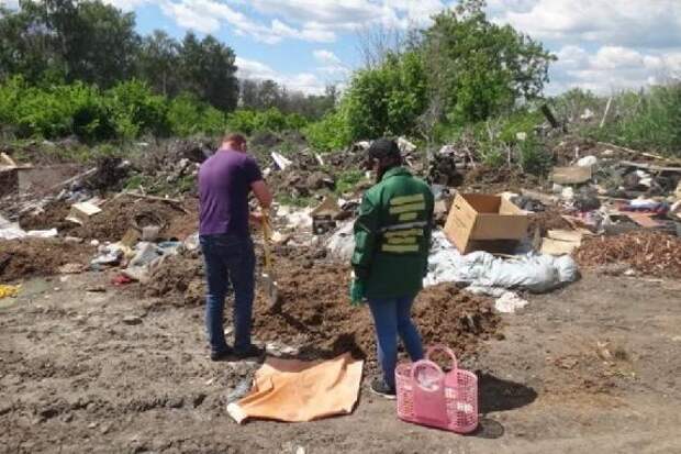 Администрация Никифоровского округа может заплатить 29 млн рублей за вред почвам