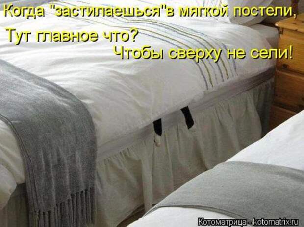 Котоматрицы(картинки с надписями)
