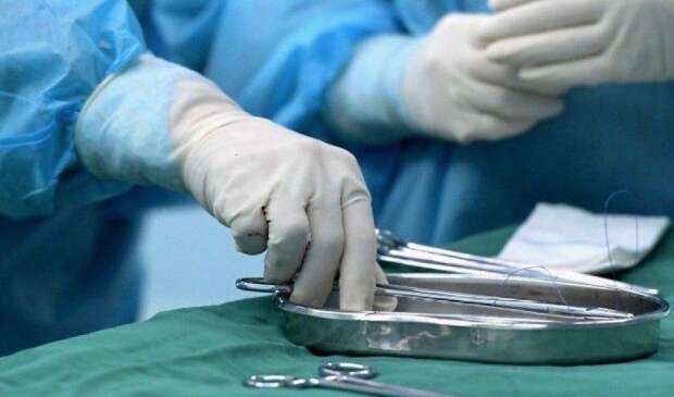 Совсем недавно в Узбекистане была развернута кампания по стерилизации