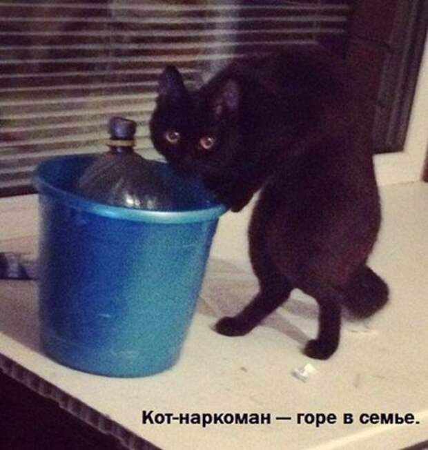 Небольшая подборка прикольных картинок (23 шт)