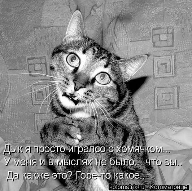 Давайте улыбаться вместе! :) (28улыбок)