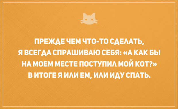 открытки о том, что без кота и жизнь не та (15)