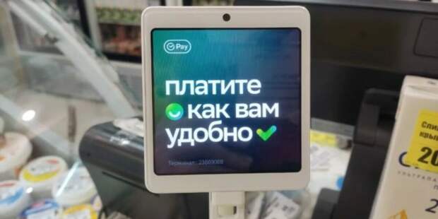 Кошелек против карты: почему в магазинах у кассы все чаще висит табличка «Только наличные»