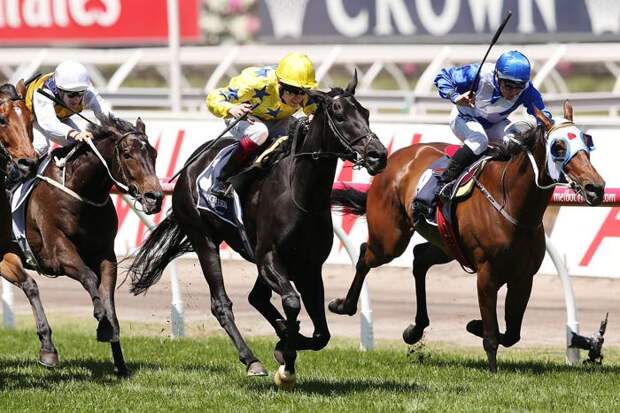 Компания RaceBets получила британскую лицензию