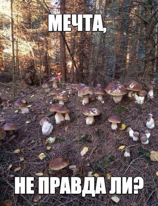 Прикольные картинки абавсём:D Прикольные картинки абавсём:D