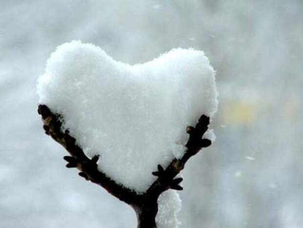http://savepic.ru/1983493.jpg