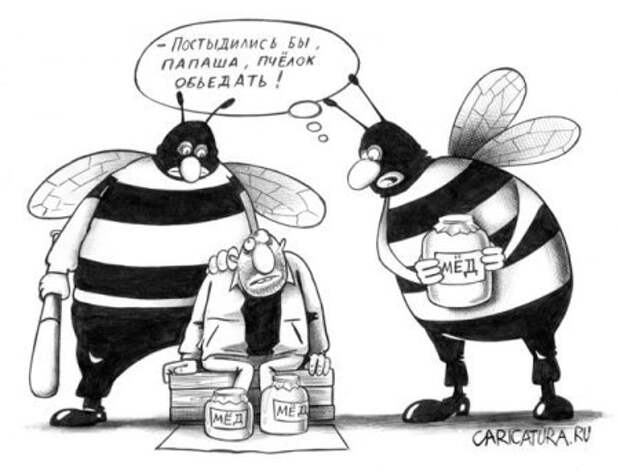 Черный юмор! карикатуры (31 фото)