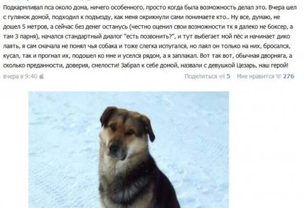 ПОДБОРКА ФОТОПРИКОЛОВ № 345 ПОДБОРКА ФОТОПРИКОЛОВ № 345