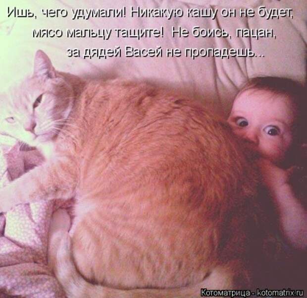 Котоматрица на Бугаге (28 фото)