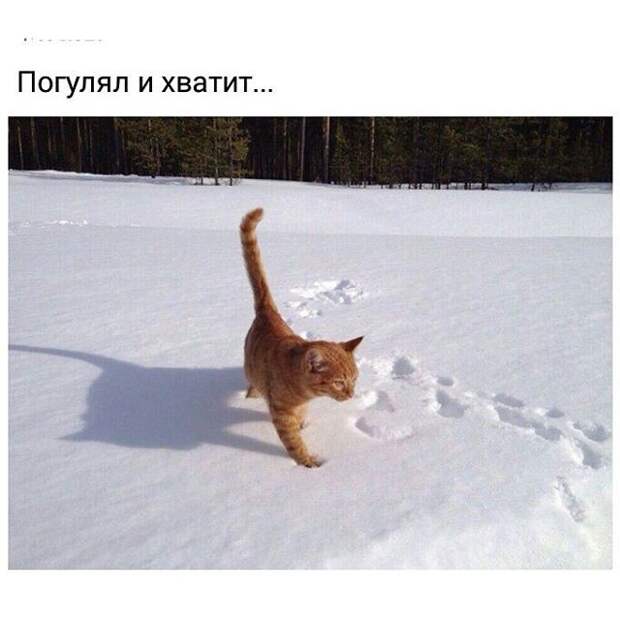 Маршрут оказался недолгим) Маршрут оказался недолгим) жизнь, мороз, прикол, сибирь