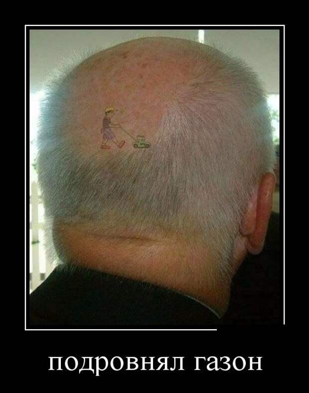 Демотиваторы №1102 (30 фото)