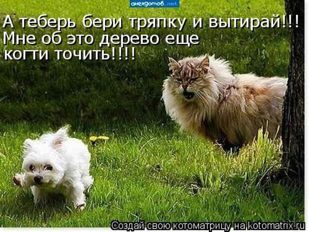 Мысли вслух :)