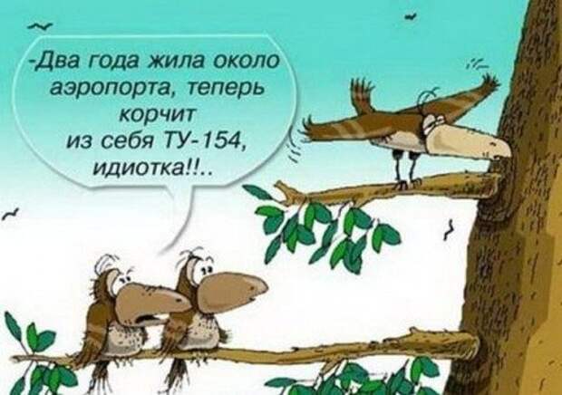 Карикатурки юмора