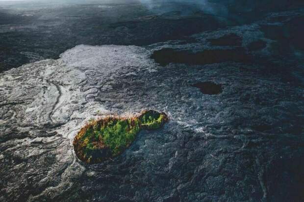 Фото: Andrew Richard Hara/Hana Hou