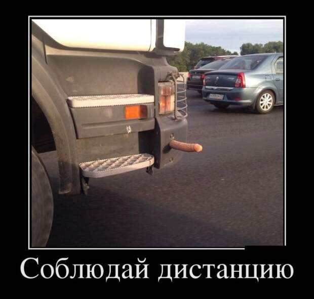 Демотиваторы №1105 (30 фото)